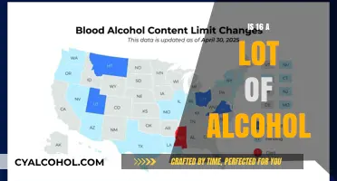 Is 16 Units of Alcohol Considered Excessive? Exploring Consumption Limits
