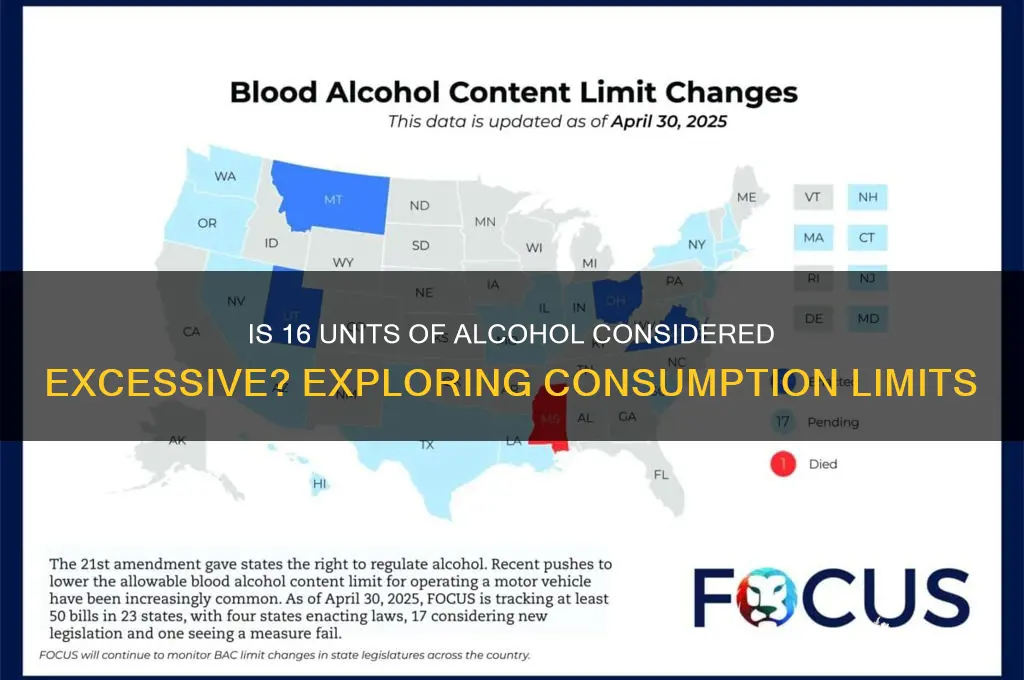 is 16 a lot of alcohol