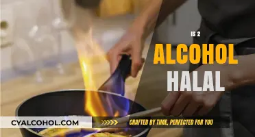 Is Alcohol Consumption Halal? Exploring the Islamic Perspective on 2 Drinks