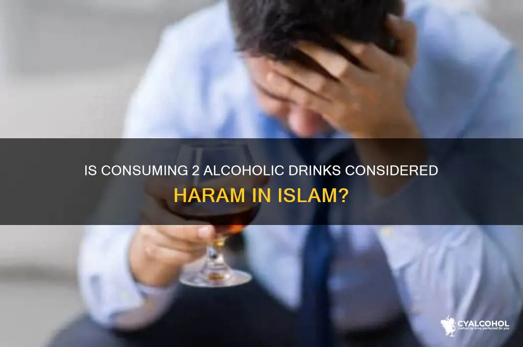 is 2 alcohol haram