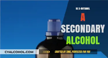 Understanding 2-Butanol: A Secondary Alcohol Explained in Chemistry