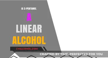 Understanding 2-Pentanol: Is It a Linear Alcohol Structure?