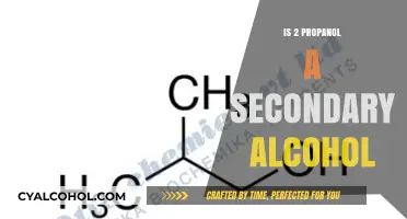 Understanding 2-Propanol: Classification as a Secondary Alcohol Explained