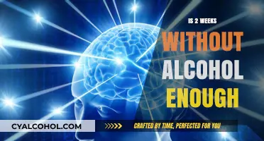 Two Weeks Sober: Is It Enough to Reset Your Body and Mind?