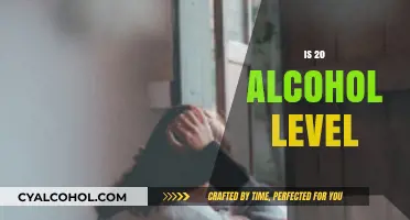Understanding the Effects and Risks of 20% Alcohol Concentration
