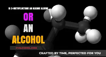 What is 3-Methyloctane? Alkanes, Alkenes, and Alcohols Explained