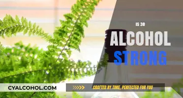 Is 38% Alcohol Strong? Understanding High-Proof Spirits and Effects