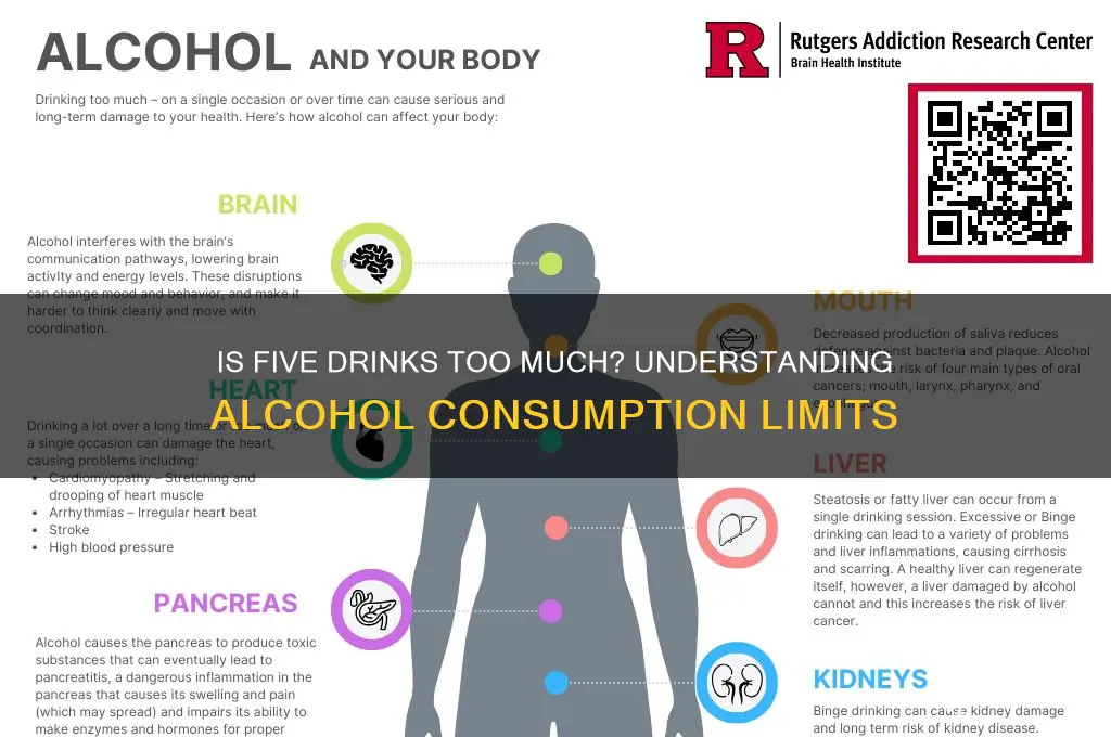 is 5 a lot of alcohol