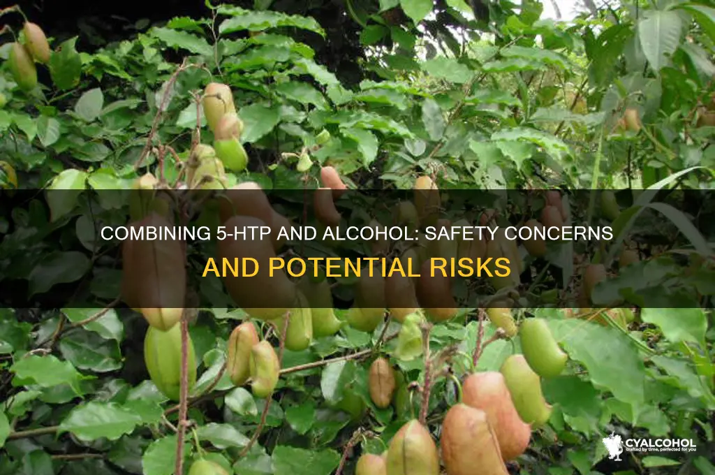 is 5 htp safe with alcohol