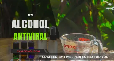 Alcohol's Antiviral Power: Does 70% Concentration Effectively Kill Viruses?