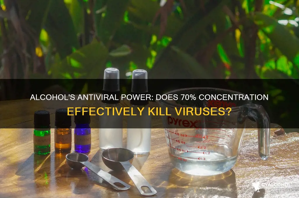 is 70 alcohol antiviral