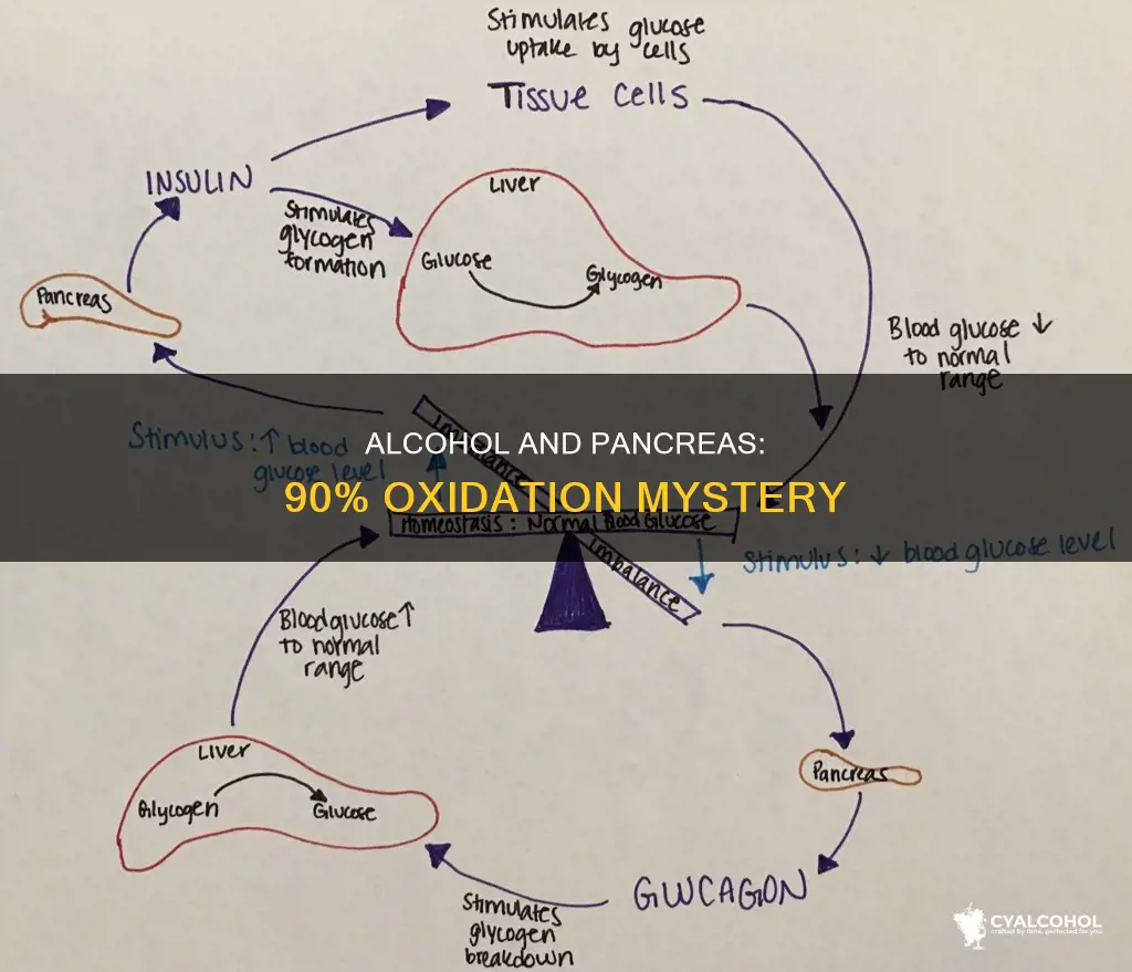is 90 of alcohol is oxidized by the pancreas