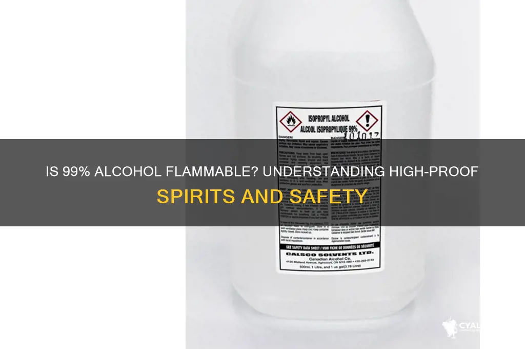 is 99 alcohol flamible