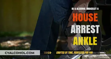 Alcohol Bracelets: Similar to House Arrest Ankle Monitors?