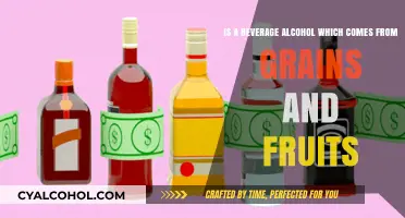 Fermented Fun: Alcoholic Drinks From Grains and Fruits