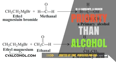 Carbonyl vs Alcohol: Priority in Organic Chemistry