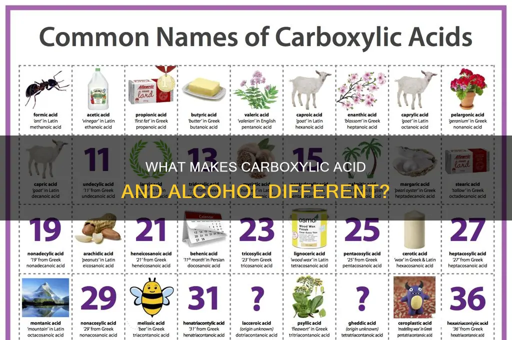 is a carboxlyic acid group include an alcohol
