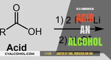 Carboxylic Acid vs. Alcohol: Key Differences and Functional Group Insights