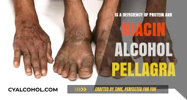 Alcohol, Pellagra, and Nutrition: The Protein-Niacin Link