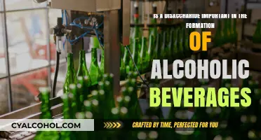 How Disaccharides Influence Alcoholic Beverage Formation