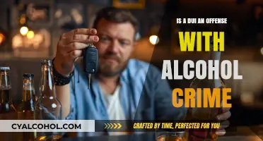 Alcohol and Crime: DUI Offense Explained
