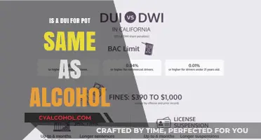Pot vs Alcohol: DUI Differences Explained