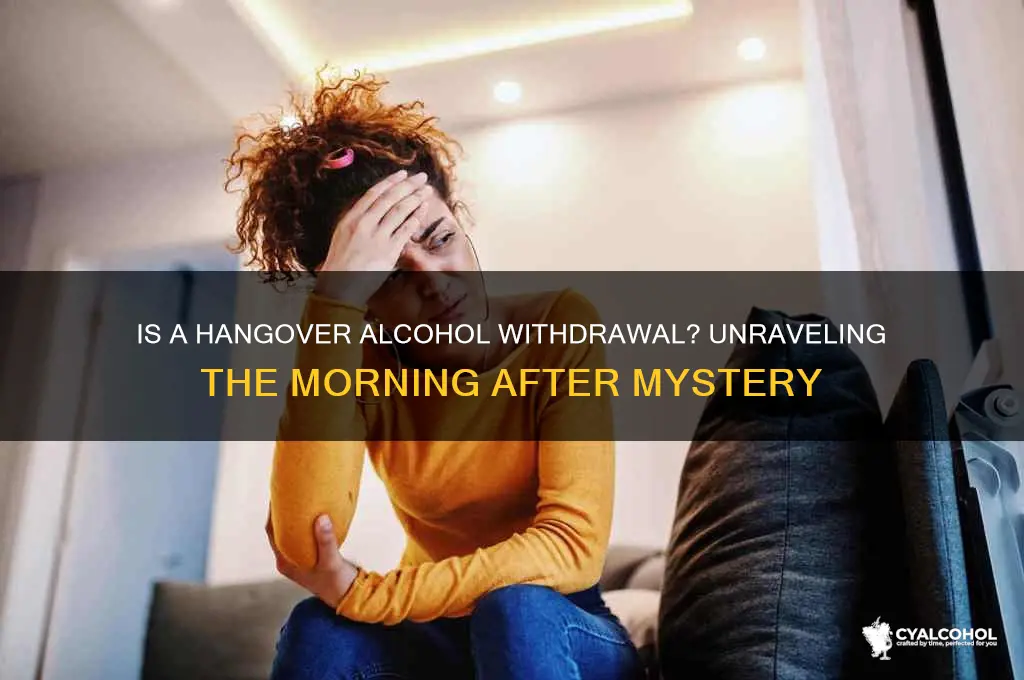is a hangover alcohol withdrawal
