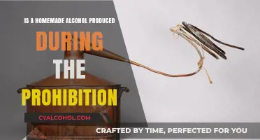 Prohibition's Homemade Alcohol: A Historical Perspective