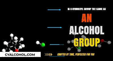 Hydroxyl and Alcohol Groups: Are They the Same?