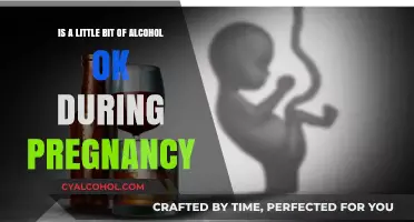 Pregnancy and Alcohol: Is It Ever Safe?