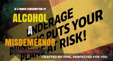 Alcohol and Minors: Misdemeanor or Not?