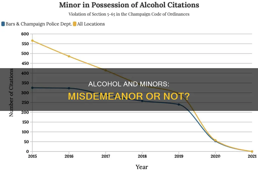 is a minor consumption of alcohol a misdemeanor