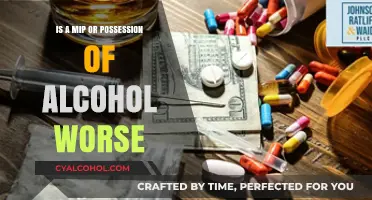 Alcohol Possession: MIP or Worse?