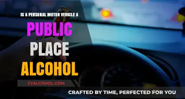 Drinking in Your Car: Public or Private Space?