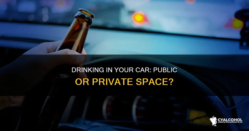 is a personal motor vehicle a public place alcohol
