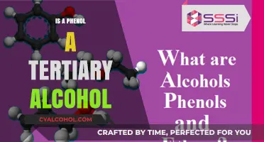 Phenol vs Tertiary Alcohol: Key Differences and Chemical Structure Explained