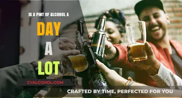 Alcohol Consumption: Daily Pint Habit, Healthy or Harmful?