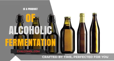 Exploring Alcoholic Fermentation: The Science Behind Its Key Product