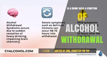 Runny Nose and Alcohol Withdrawal: What's the Link?
