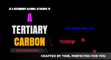 Secondary Alcohols: Tertiary Carbon Attachments Explained