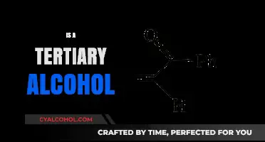 Understanding Tertiary Alcohols: Structure, Properties, and Chemical Reactions Explained