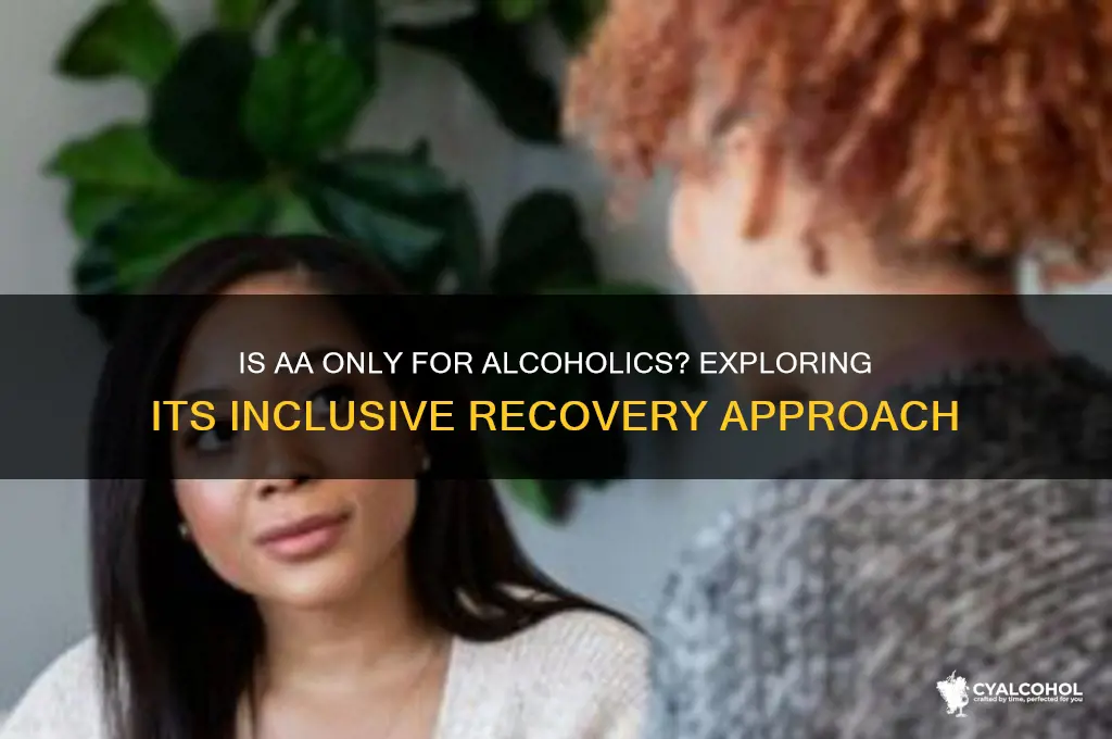is aa just for alcoholics