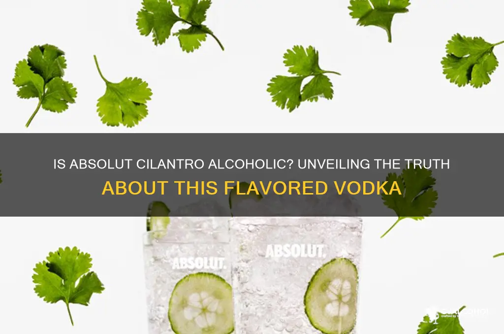 is absolut cilantro alcoholic
