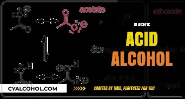 Is Acetic Acid Alcohol? Understanding the Key Differences and Uses