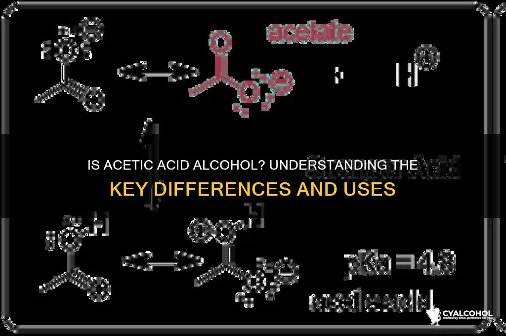 is acetic acid alcohol