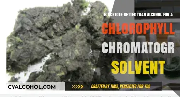 Why Acetone Trumps Alcohol in Chlorophyll Chromatography