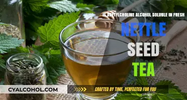 Fresh Nettle Seed Tea: Can It Dissolve Acetylcholine?