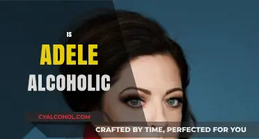 Is Adele an Alcoholic? Separating Fact from Fiction and Rumors