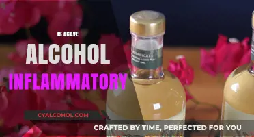 Is Agave Alcohol Inflammatory? Uncovering the Truth About Its Effects