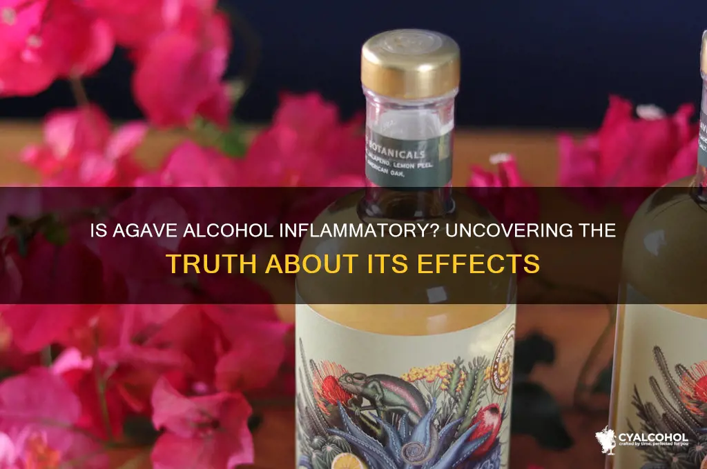 is agave alcohol inflammatory